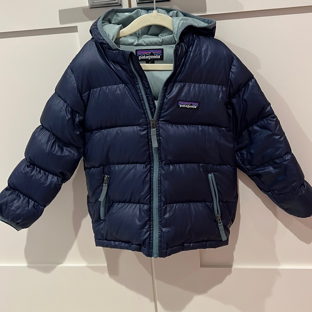 Patagonia Kids Down Hooded Jacket